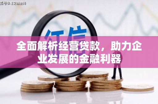 潞城全面解析经营贷款，助力企业发展的金融利器