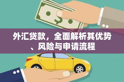 潞城外汇贷款，全面解析其优势、风险与申请流程