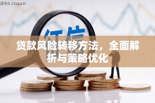 潞城贷款风险转移方法，全面解析与策略优化