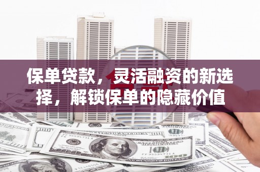 潞城保单贷款，灵活融资的新选择，解锁保单的隐藏价值