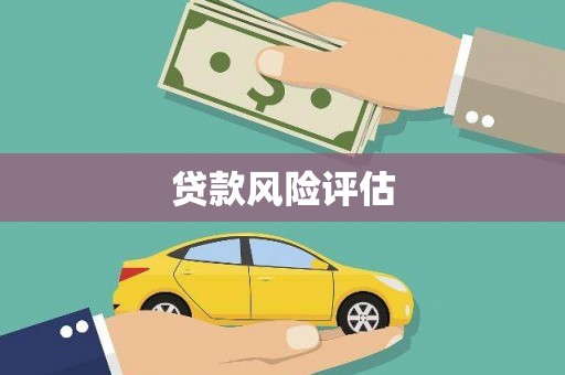 潞城贷款风险评估