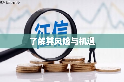 潞城了解其风险与机遇