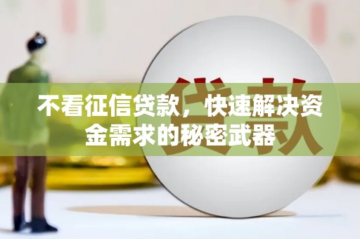 潞城不看征信贷款，快速解决资金需求的秘密武器