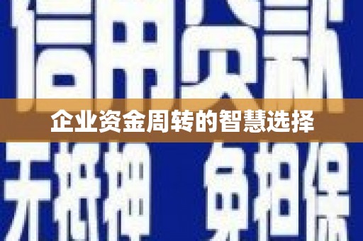 潞城企业资金周转的智慧选择