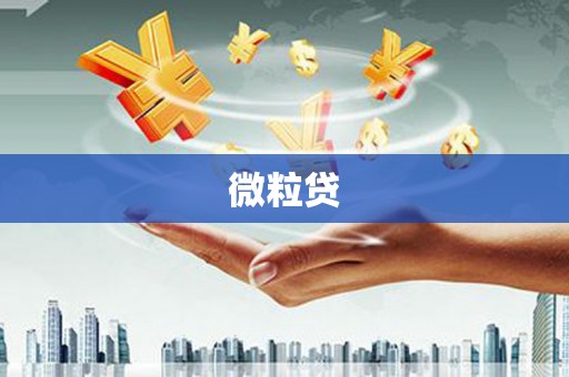 潞城微粒贷