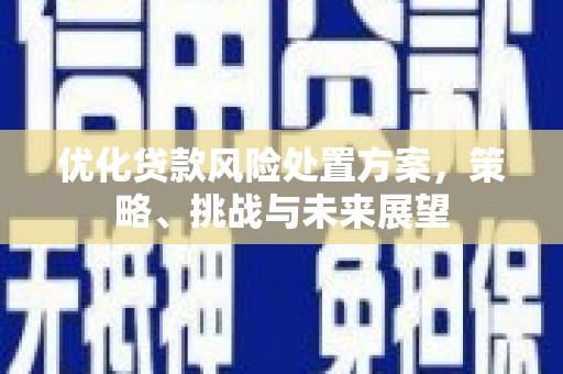 潞城优化贷款风险处置方案，策略、挑战与未来展望