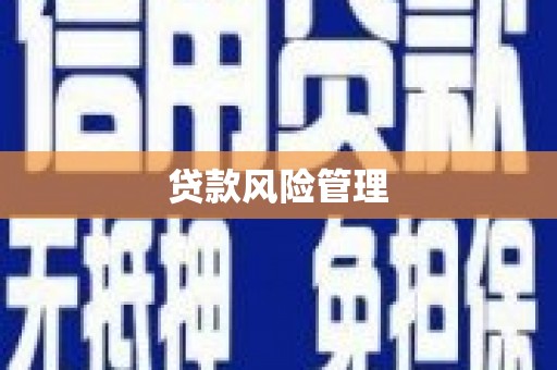 潞城贷款风险管理