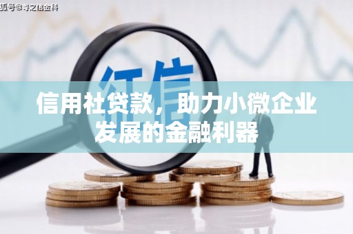 潞城信用社贷款，助力小微企业发展的金融利器