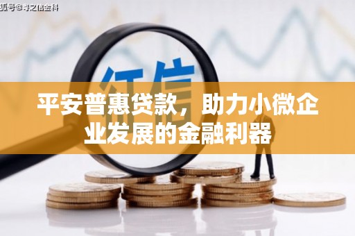 潞城平安普惠贷款，助力小微企业发展的金融利器
