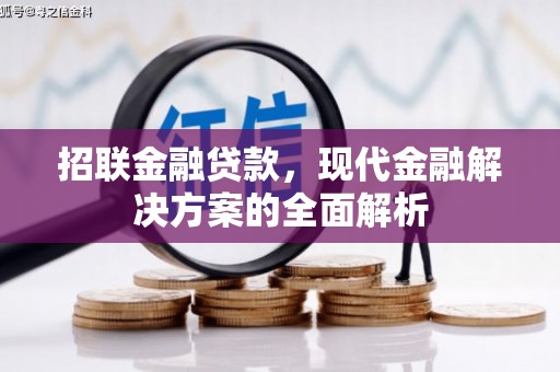 潞城招联金融贷款，现代金融解决方案的全面解析