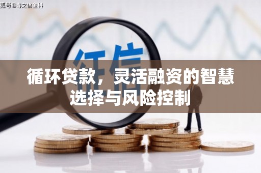 潞城循环贷款，灵活融资的智慧选择与风险控制