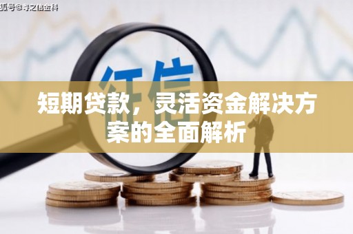 潞城短期贷款，灵活资金解决方案的全面解析