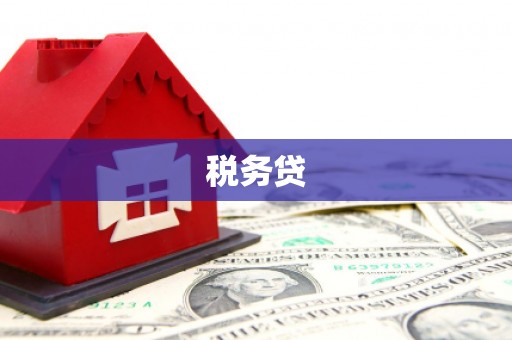 潞城税务贷