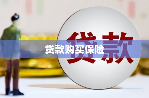 潞城贷款购买保险