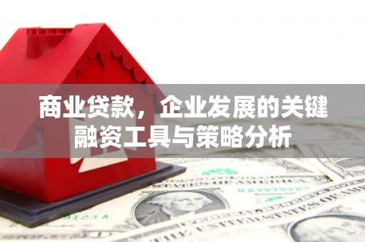 潞城商业贷款，企业发展的关键融资工具与策略分析