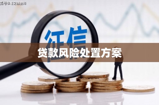潞城贷款风险处置方案