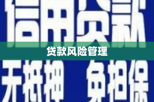 潞城贷款风险管理