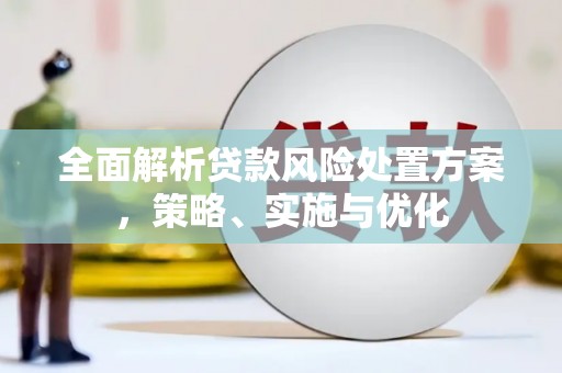 潞城全面解析贷款风险处置方案，策略、实施与优化