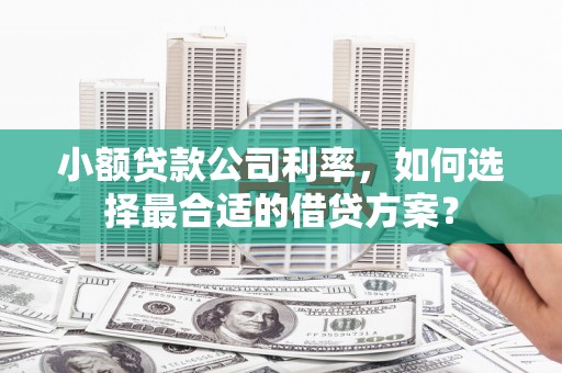潞城小额贷款公司利率，如何选择最合适的借贷方案？