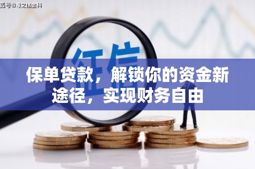 潞城保单贷款，解锁你的资金新途径，实现财务自由