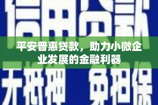 潞城平安普惠贷款，助力小微企业发展的金融利器
