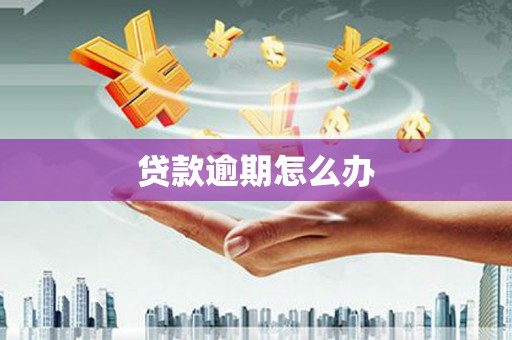 潞城贷款逾期怎么办