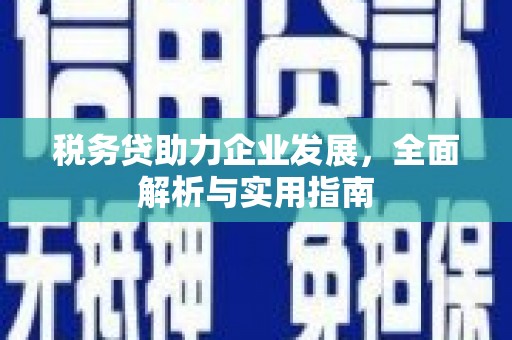 潞城税务贷助力企业发展，全面解析与实用指南