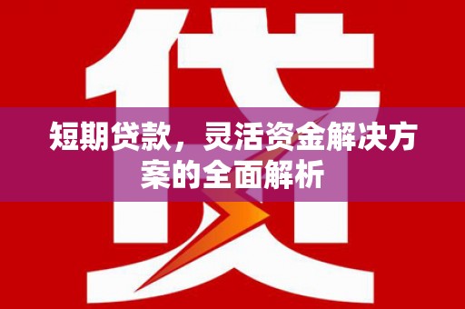 潞城短期贷款，灵活资金解决方案的全面解析