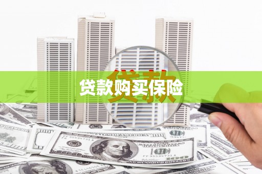 潞城贷款购买保险