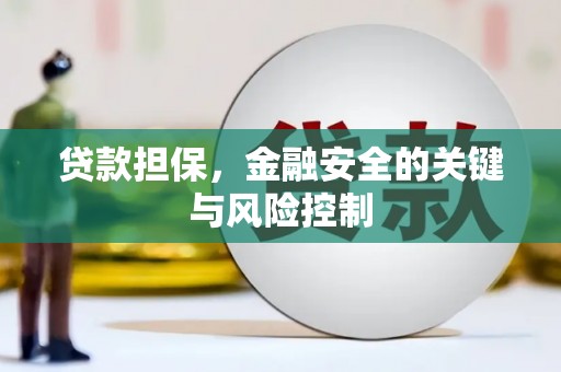 潞城贷款担保，金融安全的关键与风险控制