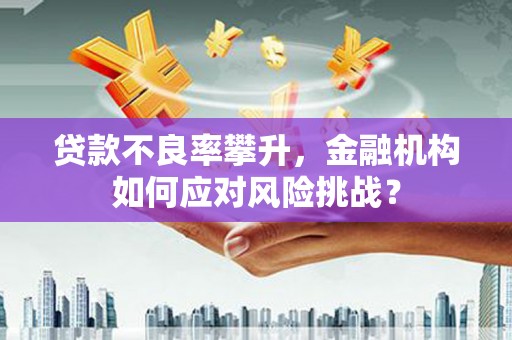潞城贷款不良率攀升，金融机构如何应对风险挑战？
