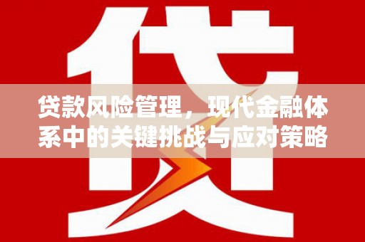 潞城贷款风险管理，现代金融体系中的关键挑战与应对策略