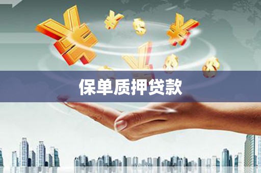 潞城保单质押贷款