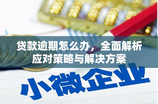 潞城贷款逾期怎么办，全面解析应对策略与解决方案