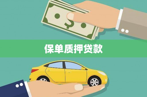 潞城保单质押贷款