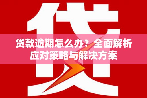 潞城贷款逾期怎么办？全面解析应对策略与解决方案
