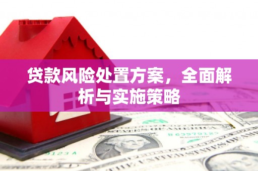 潞城贷款风险处置方案，全面解析与实施策略