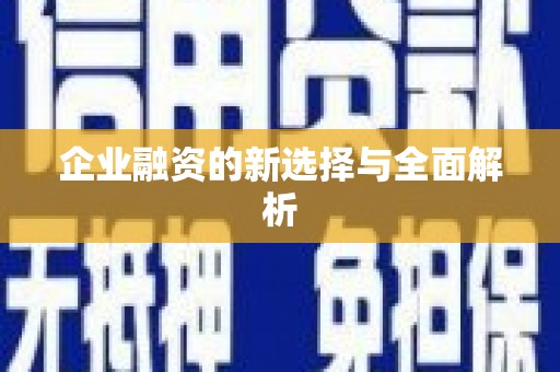 潞城企业融资的新选择与全面解析