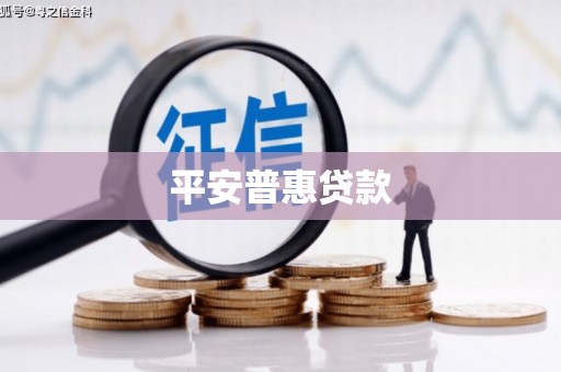 潞城平安普惠贷款