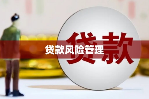 潞城贷款风险管理
